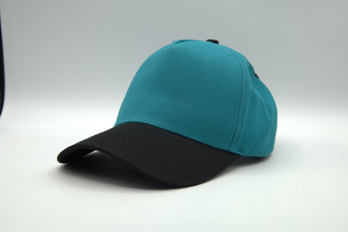Premium Cotton 2-Tone Snapback
